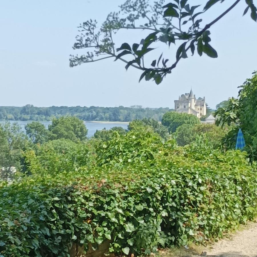 Gite Des Perreyeurs - Maison Troglodyte Avec Vue Sur Loire Montsoreau Exterior foto